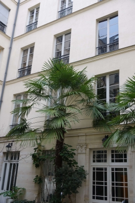 COUR 2.jpg